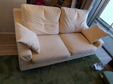 noyes sofa.jpg